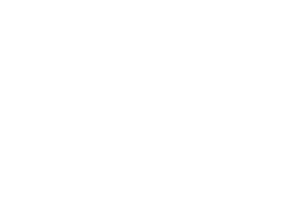 PTR White Logo